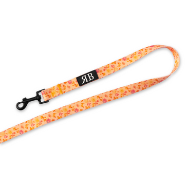 Rosie | Leash